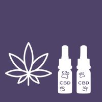 CBD olaj állatoknak